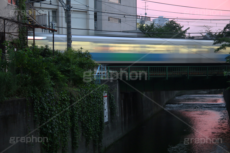 電車,夕焼け,染,神田川,河,川,河川,柵,フェンス,川沿い,情緒,train,電車/鉄道