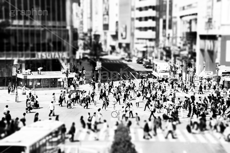 渋谷ジオラマ,モノクロ,白黒,しろくろ,モノクローム,単色画,単彩画,単色,ミニチュア