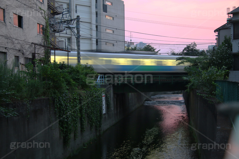 電車,夕焼け,染,神田川,河,川,河川,柵,フェンス,川沿い,情緒,train,電車/鉄道