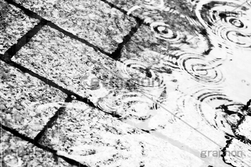 雨,モノクロ,白黒,しろくろ,モノクローム,単色画,単彩画,単色,rain