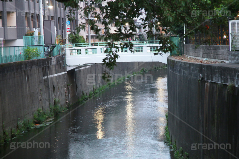 神田川,河,川,河川,柵,フェンス,川沿い,橋