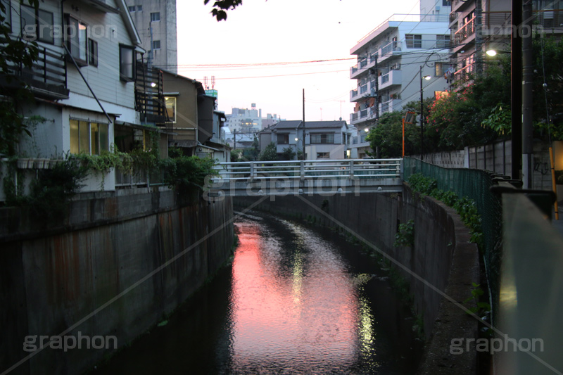 夕焼け,染,神田川,河,川,河川,柵,フェンス,川沿い,橋