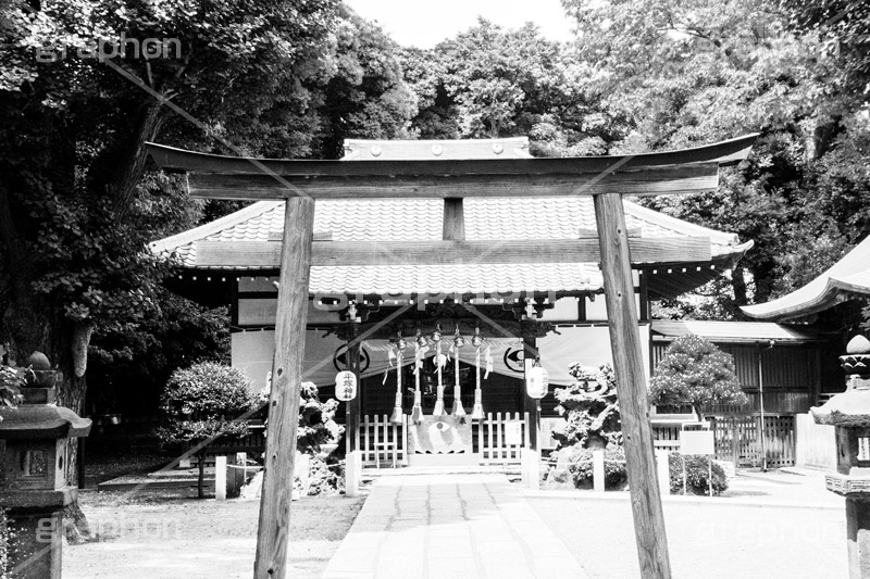 上中里,モノクロ,白黒,しろくろ,モノクローム,単色画,単彩画,単色,平塚神社