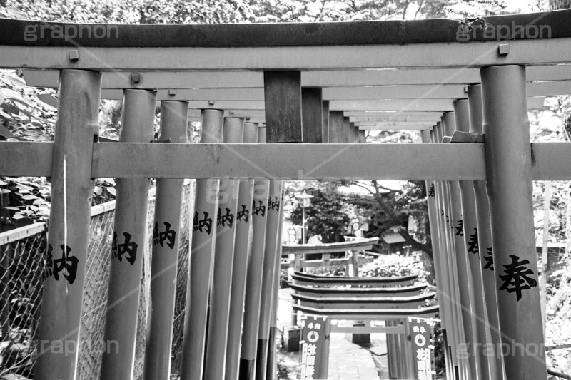 花園稲荷神社,モノクロ,白黒,しろくろ,モノクローム,単色画,単彩画,単色,上野