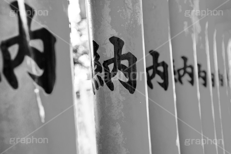 花園稲荷神社,モノクロ,白黒,しろくろ,モノクローム,単色画,単彩画,単色,上野