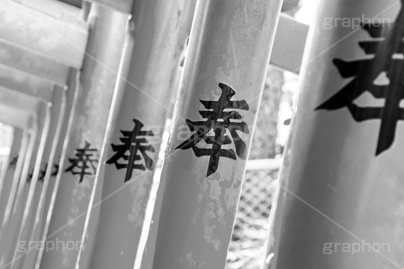 花園稲荷神社,モノクロ,白黒,しろくろ,モノクローム,単色画,単彩画,単色,上野