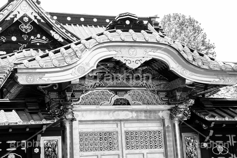 上野東照宮,モノクロ,白黒,しろくろ,モノクローム,単色画,単彩画,単色,上野,japan