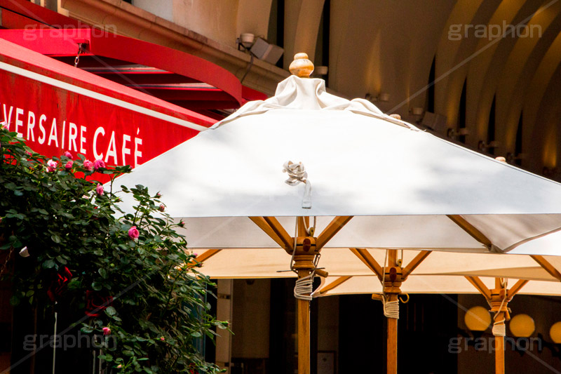 カフェのパラソル,カフェ,cafe,オシャレ,お洒落,女子力,パラソル