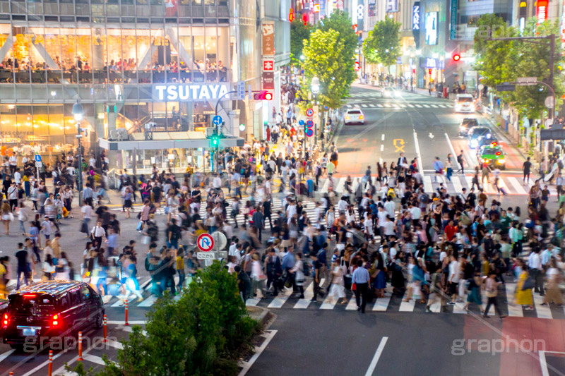 渋谷の雑踏,渋谷スクランブル交差点,渋谷,しぶや,観光,交差点,渋谷駅,駅前,スクランブル,外国人,海外,道玄坂,横断歩道,信号,雑踏,都会の雑踏,混む,混雑,人混み,人々,人物,渡る,歩く,夜,夜景,名所,都会,繫華街,夜の街,夜の町,japan,shibuya