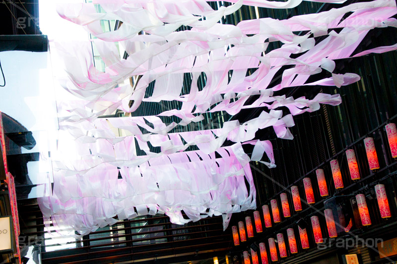 春のコレド室町,コレド室町,日本橋,桜,さくら,サクラ,綺麗,きれい,キレイ,春,spring,blossom,japan,中央区,桜フェスティバル,イベント,フェスティバル,event,festival,COREDO,ちょうちん,提灯,情緒,風情