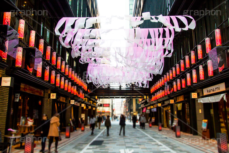 春のコレド室町,コレド室町,日本橋,桜,さくら,サクラ,綺麗,きれい,キレイ,春,spring,blossom,japan,中央区,桜フェスティバル,イベント,フェスティバル,event,festival,COREDO,ちょうちん,提灯,情緒,風情