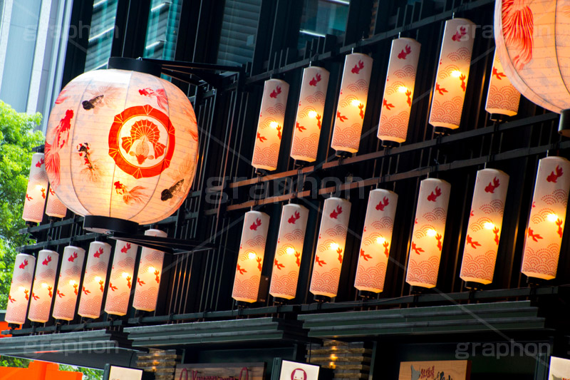 夏のコレド室町,コレド室町,日本橋,金魚,きんぎょ,夏,清凉,祭,夏祭り,summer,japan,中央区,サマー,イベント,フェスティバル,event,festival,COREDO,ちょうちん,提灯,情緒,風情
