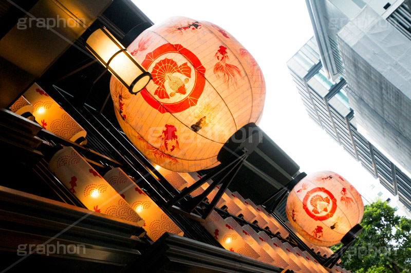 夏のコレド室町,コレド室町,日本橋,金魚,きんぎょ,夏,清凉,祭,夏祭り,summer,japan,中央区,サマー,イベント,フェスティバル,event,festival,COREDO,ちょうちん,提灯,情緒,風情
