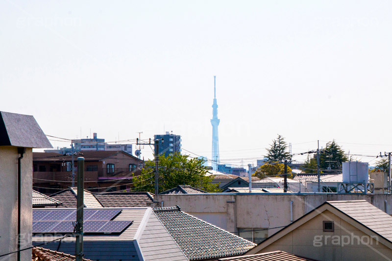 江戸川区の町並みとスカイツリー,江戸川,江戸川区,スカイツリー,skytree,民家,下町,tower,japan,タワー