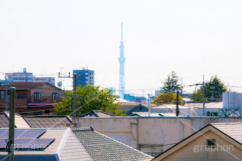 江戸川区の町並みとスカイツリー,江戸川,江戸川区,スカイツリー,skytree,民家,下町,tower,japan,タワー
