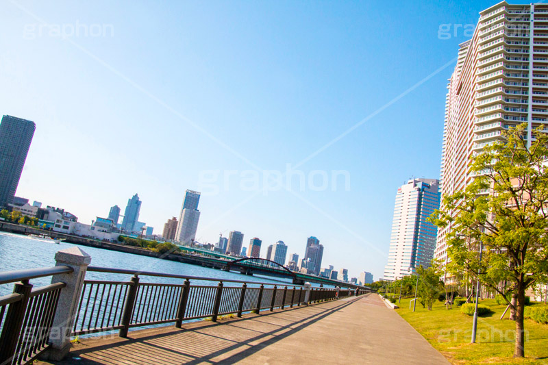 豊洲港,豊洲,港,海,江東区,東京湾,豊洲運河,マンション,高層