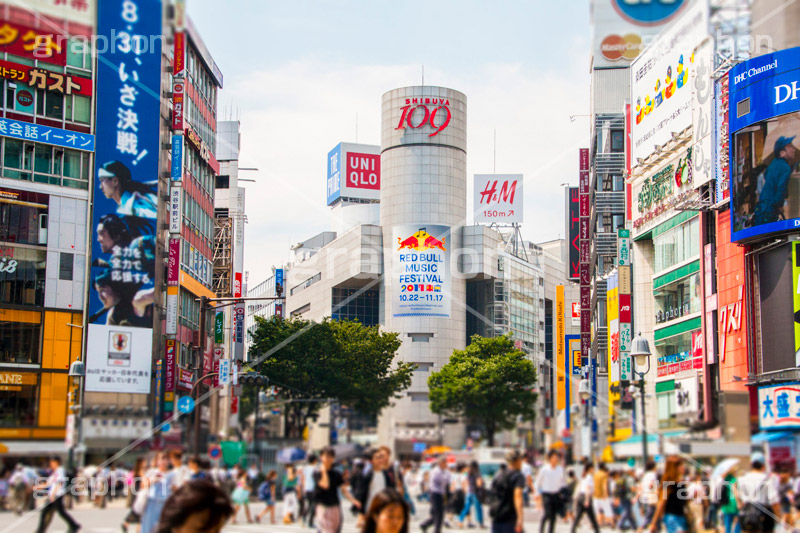 渋谷スクランブル交差点,渋谷,しぶや,ハチ公,観光,交差点,渋谷駅,駅前,スクランブル,外国人,海外,道玄坂,横断歩道,信号,雑踏,都会の雑踏,人混み,人物,混雑,名所,shibuya,japan