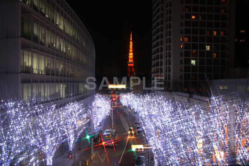 東京タワー,タワー,総合電波塔,電波,日本電波塔,港区,六本木,ヒルズ,Roppongi Hills,夜景,ライトアップ,高層,ビル,キラキラ,夜,けやきざか,けやき坂,イルミネーション,イルミ,LED,illumination,冬,ロマンチック,japan,クロスフィルタ