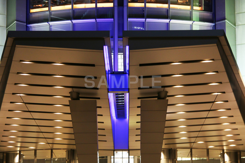 六本木,六本木ヒルズ,ヒルズ,森ビル,森タワー,Roppongi Hills,高層オフィスビル,55階,夜景,ライトアップ,高層,ビル,キラキラ,夜,眠らない,街,港区