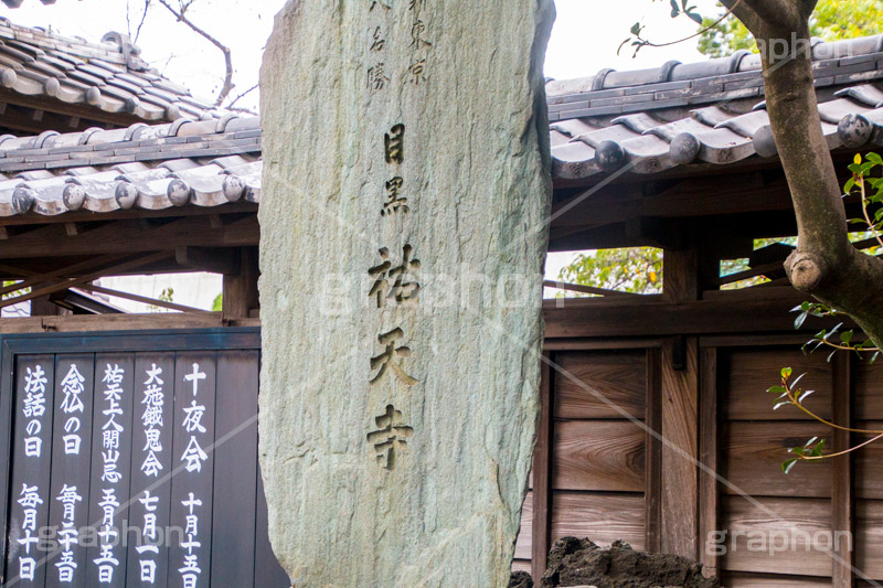 祐天寺,目黒,目黒区,中目黒,浄土宗,寺院,寺,参拝,お参り,temple,japan