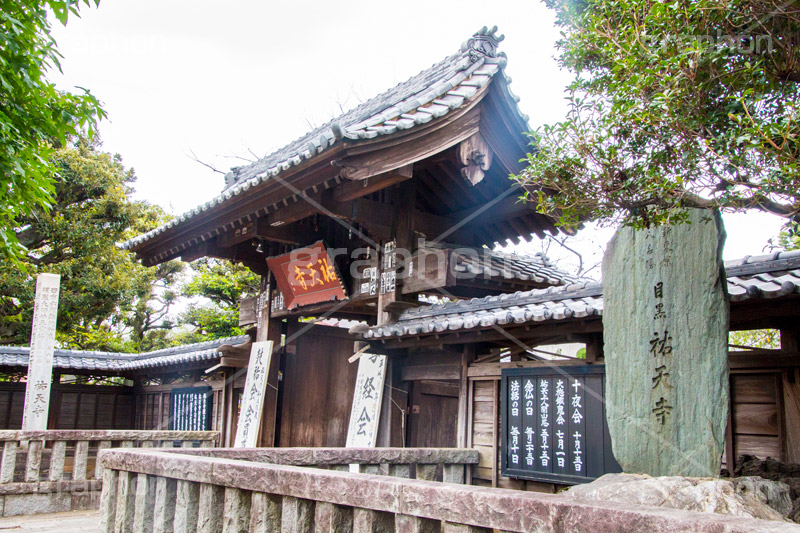 祐天寺,目黒,目黒区,中目黒,浄土宗,寺院,寺,参拝,お参り,temple,japan