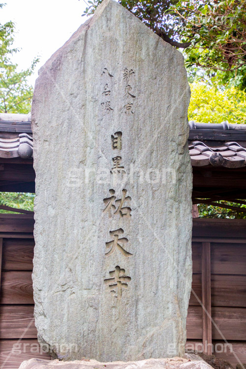 祐天寺,目黒,目黒区,中目黒,浄土宗,寺院,寺,参拝,お参り,temple,japan
