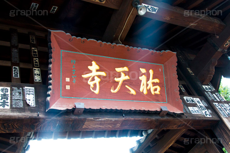 祐天寺,目黒,目黒区,中目黒,浄土宗,寺院,寺,参拝,お参り,temple,japan