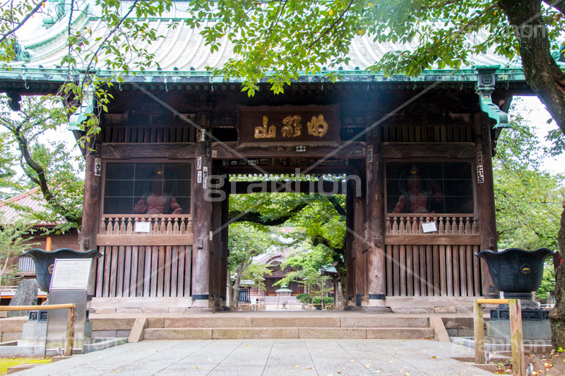 祐天寺の仁王像,仁王像,祐天寺,目黒,目黒区,中目黒,浄土宗,寺院,寺,参拝,お参り,temple,japan