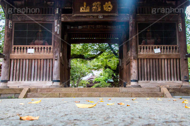祐天寺の仁王像,仁王像,祐天寺,目黒,目黒区,中目黒,浄土宗,寺院,寺,参拝,お参り,temple,japan