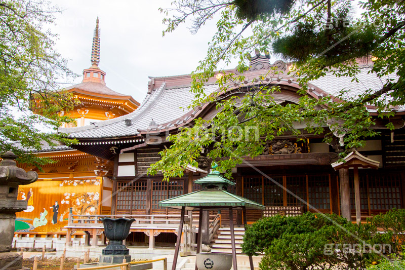 祐天寺,目黒,目黒区,中目黒,浄土宗,寺院,寺,参拝,お参り,temple,japan