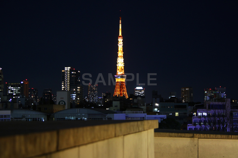 東京タワー,タワー,総合電波塔,電波,日本電波塔,港区,観光名所,六本木,ヒルズ,Roppongi Hills,夜景,ライトアップ,高層,ビル,キラキラ,夜,眠らない,街,japan