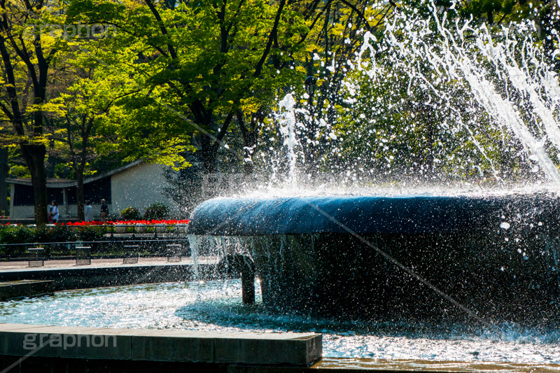 日比谷公園の噴水,噴水,日比谷公園,千代田区,日比谷,公園,都立公園,霞が関,有楽町,都会,オアシス,休憩,park,fountain,名所