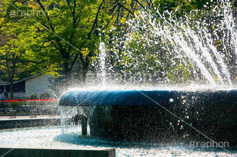 日比谷公園の噴水,噴水,日比谷公園,千代田区,日比谷,公園,都立公園,霞が関,有楽町,都会,オアシス,休憩,park,fountain,名所