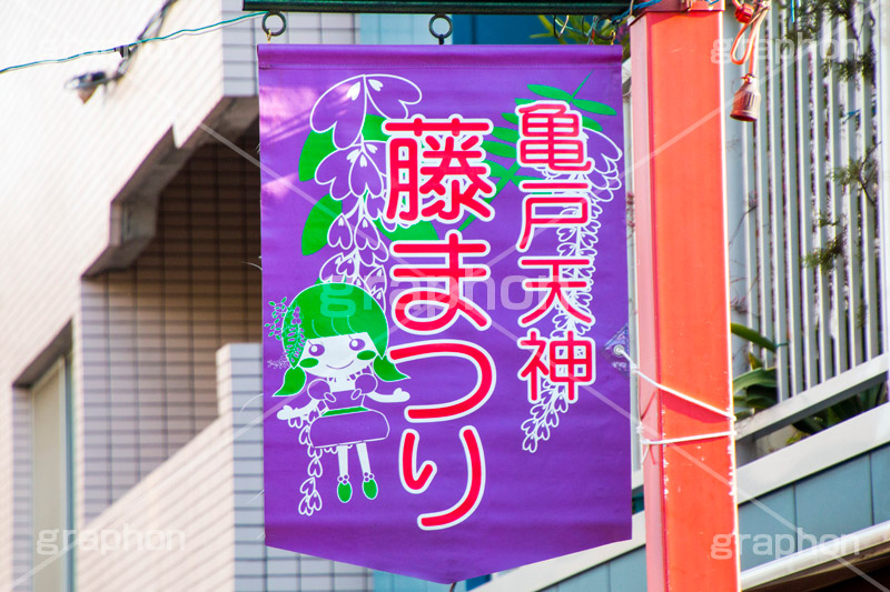 亀戸天神社の藤まつり,藤まつり,藤の花,藤,ふじ,藤棚,藤だな,ふじ棚,紫,春,花,お花,フラワー,亀戸天満神,亀戸天神,亀戸天満宮,東宰府天満宮,神社,参拝,江東区,亀戸,japan,旗,バナー