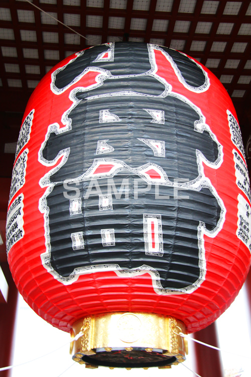 浅草,雷門,二重門,浅草寺,あさくさ,宝蔵門,大谷米太郎,金剛力士,仁王,金剛力士像,仁王像,仁王門,台東区,文化財,阿形,吽形,小舟町,浅草寺宝蔵門,大わらじ,大提灯,提灯,寺,お寺,浅草 名所,浅草 観光,asakusa,japan,スポット,寺院