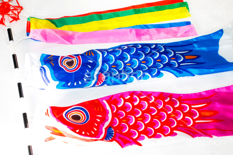 ミニこいのぼり,鯉のぼり,5月5日,端午,節句,供物,こどもの日,子供の日,こども,子供,男の子,event,kids,和,文化,japan,風習,行事,飾り,ミニ,吹き流し