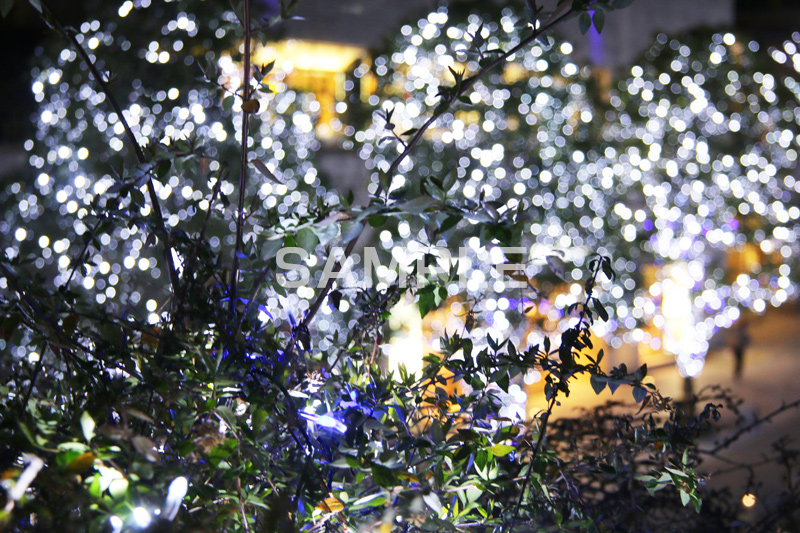 港区,観光名所,六本木,ヒルズ,Roppongi Hills,夜景,ライトアップ,高層,ビル,キラキラ,夜,けやきざか,けやき坂,イルミネーション,イルミ,LED,illumination,冬,ブランド,ショッピング,ロマンチック