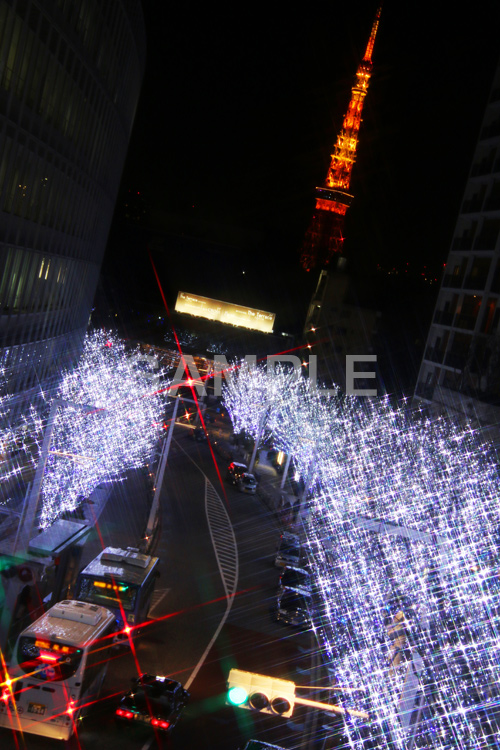 東京タワー,タワー,総合電波塔,電波,日本電波塔,港区,観光名所,六本木,ヒルズ,Roppongi Hills,夜景,ライトアップ,高層,ビル,キラキラ,夜,けやきざか,けやき坂,イルミネーション,イルミ,LED,冬,ブランド,ショッピング,ロマンチック,japan,クロスフィルタ