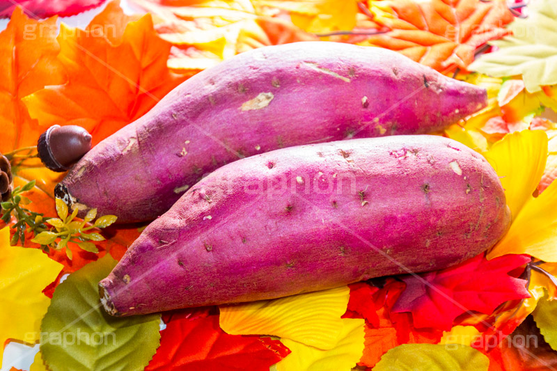 秋の味覚,さつまいも,さつま芋,サツマイモ,芋,いも,イモ,秋,autumn,sweet potato,野菜,食材,焼き芋,焼いも,炭水化物,皮,落ち葉