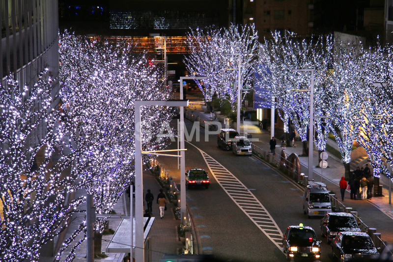 港区,観光名所,六本木,ヒルズ,Roppongi Hills,夜景,ライトアップ,高層,ビル,キラキラ,夜,けやきざか,けやき坂,イルミネーション,イルミ,LED,illumination,冬,ブランド,ショッピング,ロマンチック