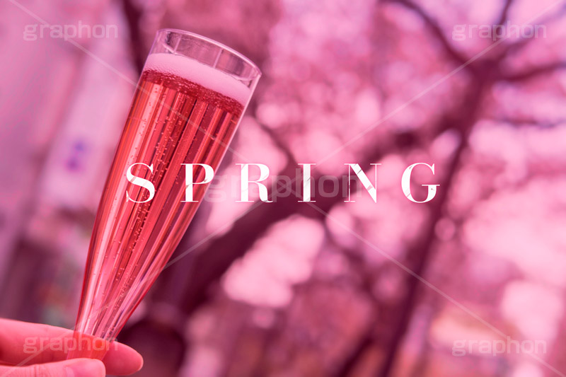 SPRING,スプリング,春,ワイン,乾杯,花見,可愛い,かわいい,カワイイ,女子力キュート,cute,ヴィンテージ,ビンテージ,レトロ,お洒落,おしゃれ,オシャレ,味わい,text,message,文字,メッセージ