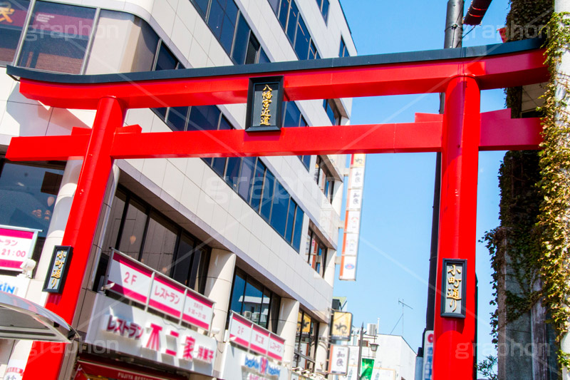 小町通り,鎌倉,東口,鶴岡八幡宮,若宮大路,商店街,ショッピング,食べ歩き,メインストリート,観光,神奈川,鳥居