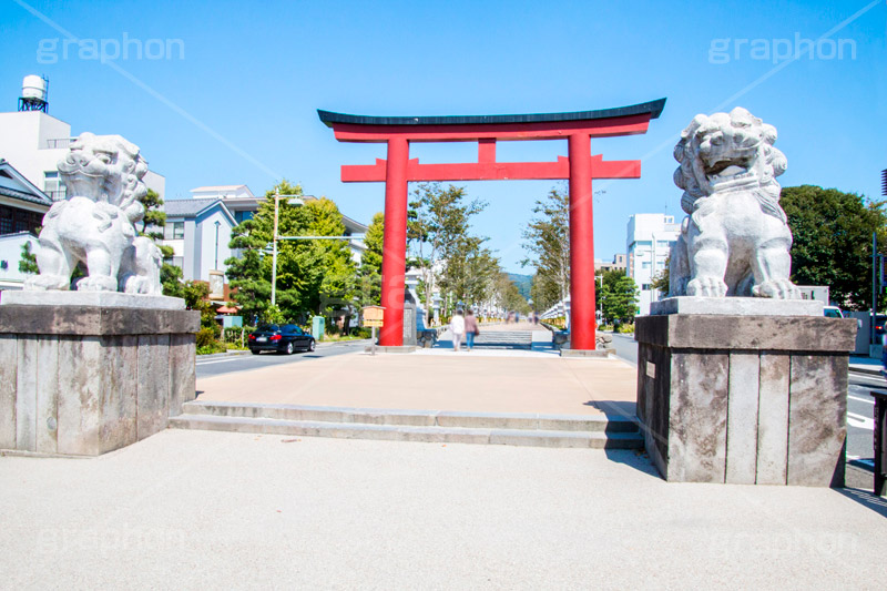 二の鳥居,鶴岡八幡宮,入口,若宮大路,段葛,徳川家綱,石造,神社,鎌倉,神奈川,観光,japan,狛犬,青空