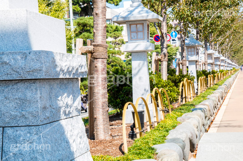 段葛,鶴岡八幡宮,入口,若宮大路,灯篭,石造,神社,鎌倉,神奈川,観光,japan