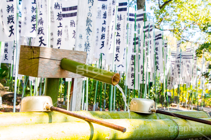 旗上弁財天社,鶴岡八幡宮,境内社,神社,源氏池,源頼朝,白旗,旗,奉納,旗挙げ,守護神,弁財天,源氏,手水舎,参拝