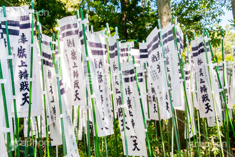 旗上弁財天社,鶴岡八幡宮,境内社,神社,源氏池,源頼朝,白旗,旗,奉納,旗挙げ,守護神,弁財天,源氏