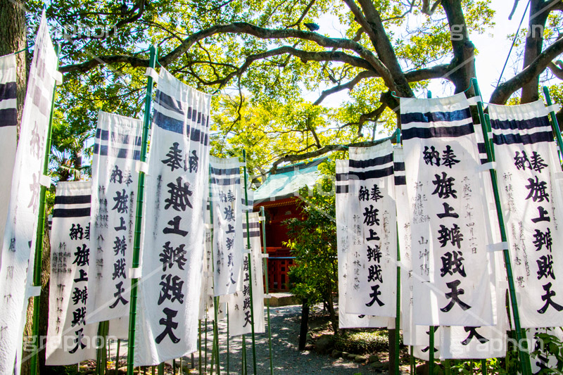 旗上弁財天社,鶴岡八幡宮,境内社,神社,源氏池,源頼朝,白旗,旗,奉納,旗挙げ,守護神,弁財天,源氏