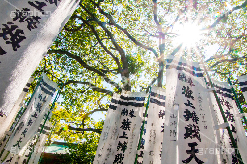 旗上弁財天社,鶴岡八幡宮,境内社,神社,源氏池,源頼朝,白旗,旗,奉納,旗挙げ,守護神,弁財天,源氏