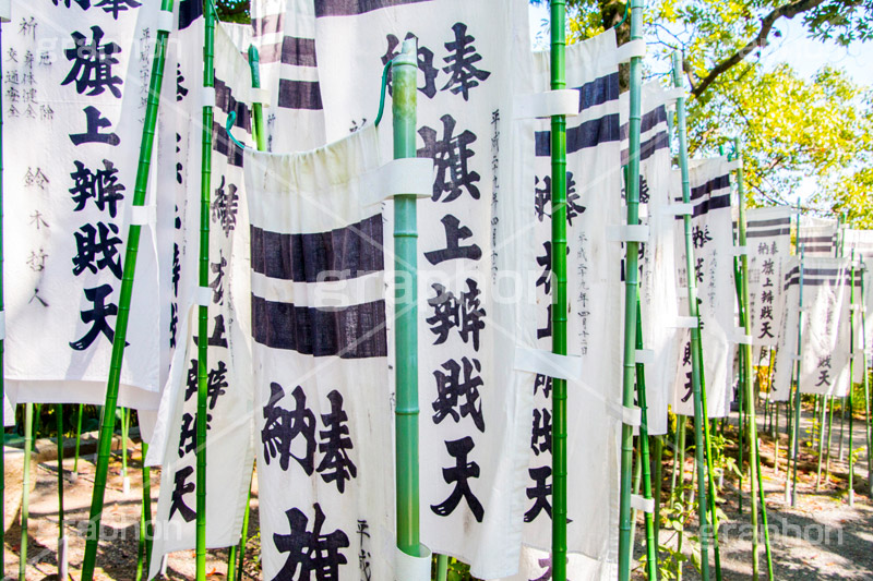 旗上弁財天社,鶴岡八幡宮,境内社,神社,源氏池,源頼朝,白旗,旗,奉納,旗挙げ,守護神,弁財天,源氏