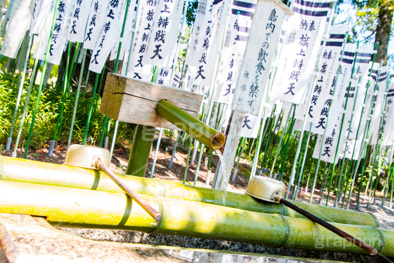 旗上弁財天社,鶴岡八幡宮,境内社,神社,源氏池,源頼朝,白旗,旗,奉納,旗挙げ,守護神,弁財天,源氏,手水舎,参拝